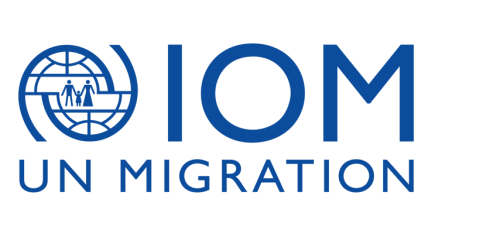 IOM-Visibiliy_Logo_PRIM_BLUE_CMYK_EN-2